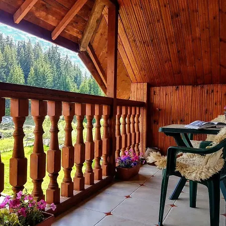 Guest house 