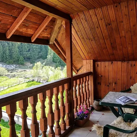 Guest house 