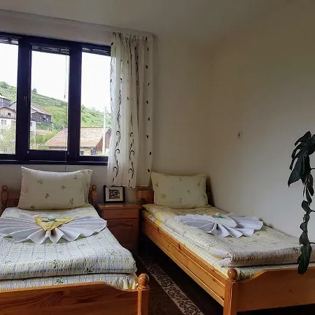 Guest house 